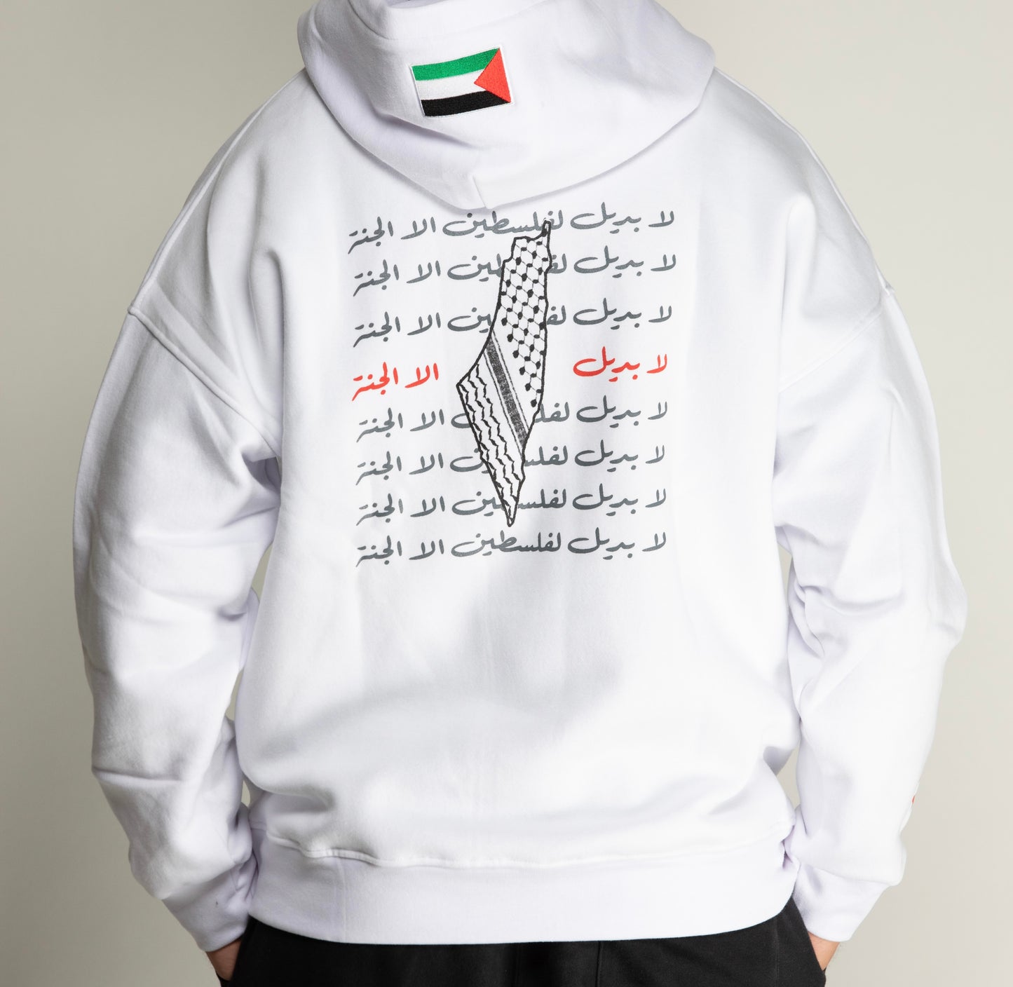 Life for Palestine Hoodie 'White'